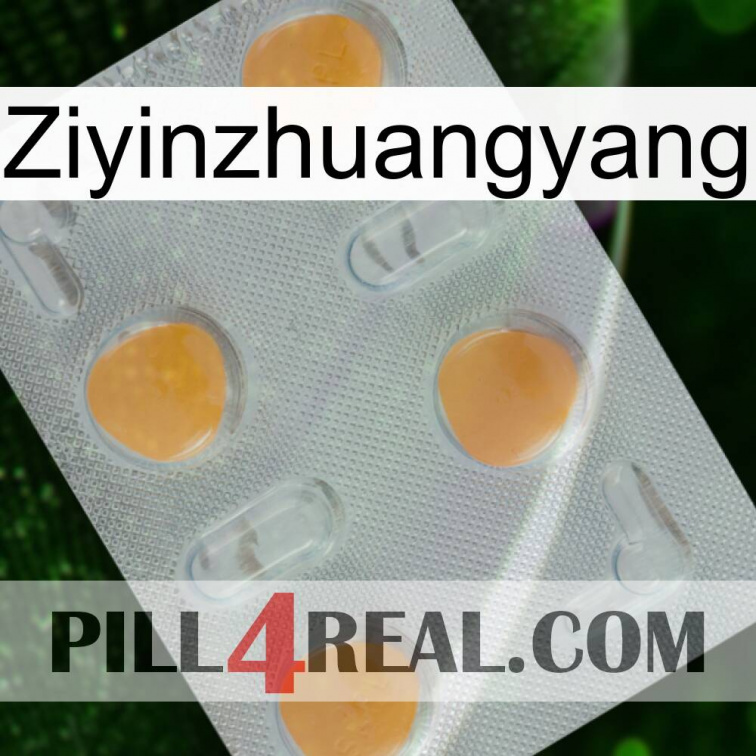 Ziyinzhuangyang 24
